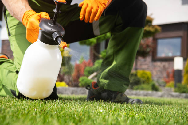 Best Affordable Pest Control Services  in Mayville, WI