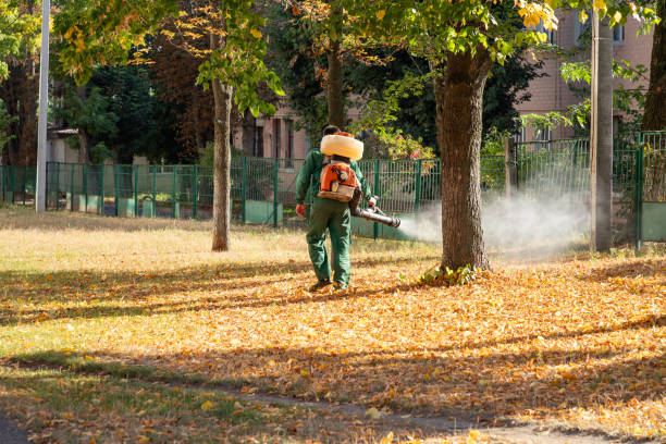 Best Local Pest Control Services  in Mayville, WI